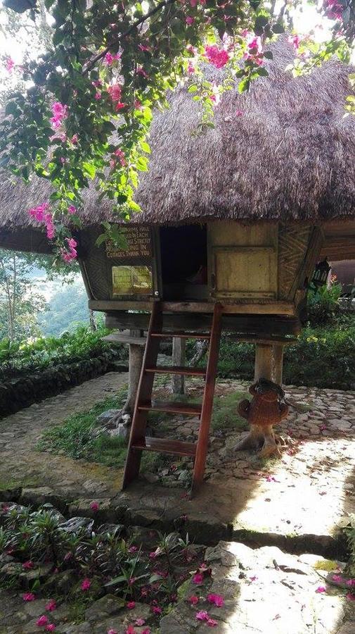 Bed & Breakfast Native Village *